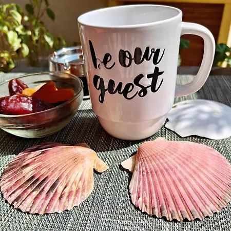 Female Solo Traverels Only & Spacious Vintage & Private Bath & Balcony & Apartament